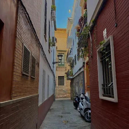 Apartment Beautiful In Historic Center